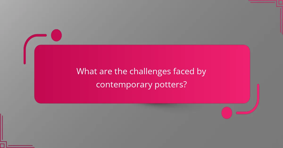 What are the challenges faced by contemporary potters?