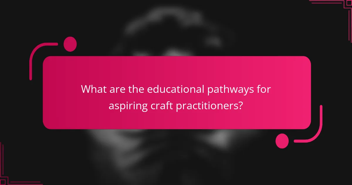 What are the educational pathways for aspiring craft practitioners?