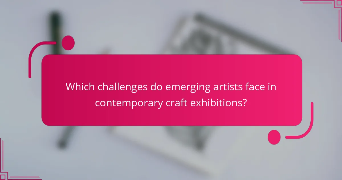 Which challenges do emerging artists face in contemporary craft exhibitions?